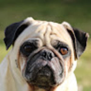 Meet your Posher, Jack